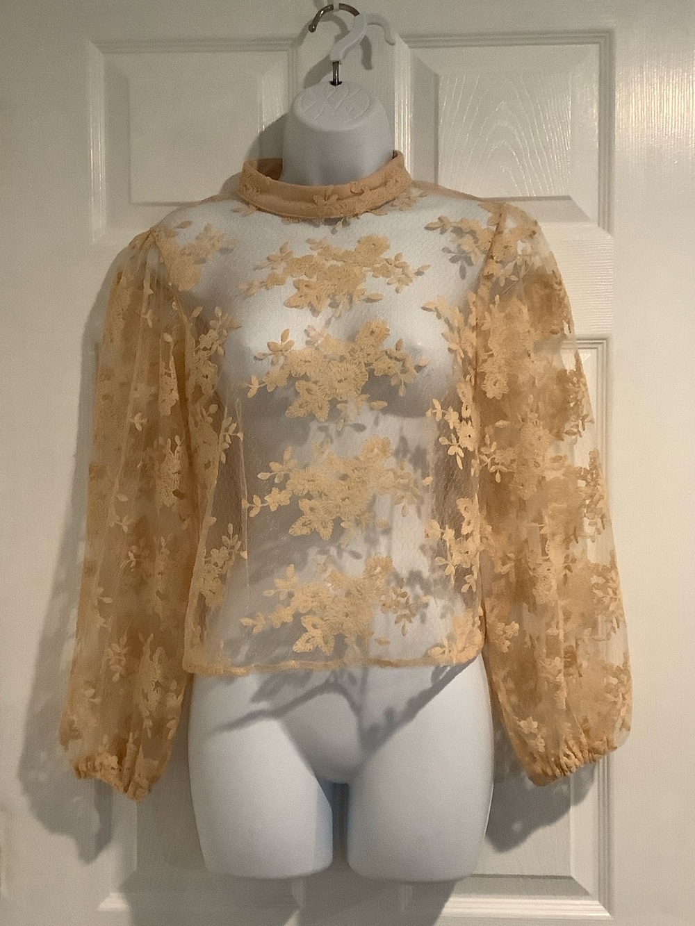 PEACH Lace Mesh Embroidery Sheer Floral Overlay Puff Sleeve Twee Cottagecore Top